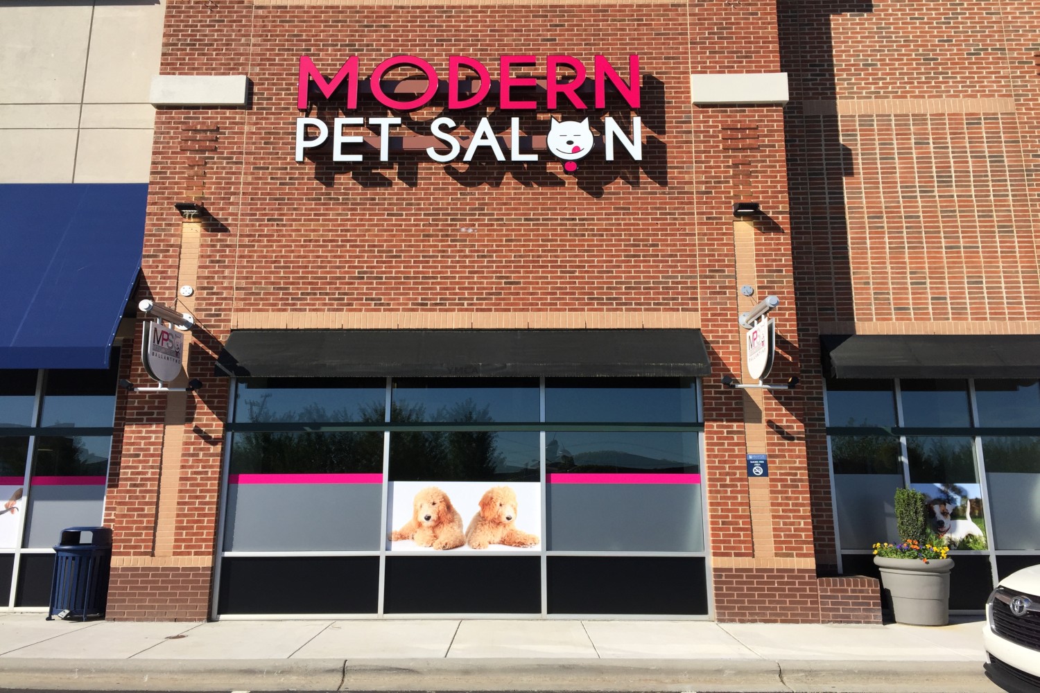 Modern Pet Salon Zenith Building Group